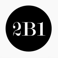 2B1 International Consulting Logo