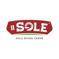 Il Sole srl Logo
