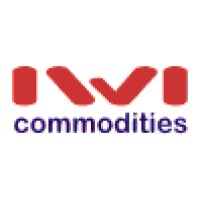 Infinite Wisdom Investments Logo