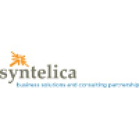 Syntelica Solutions Inc Logo