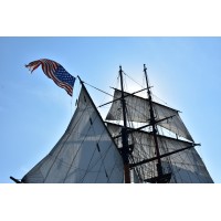 HILTON MARINE MANAGEMENT Logo