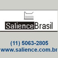 Salience Brasil Informatica Ltda. Logo