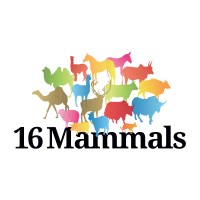 16 Mammals retail design Logo