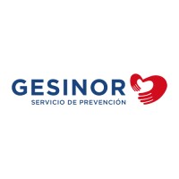 GESINOR Logo