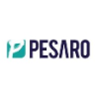 Pesaro - IT Expertise Delivered Logo