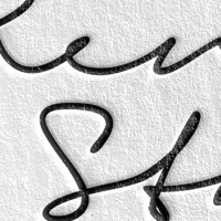 Renee Stah Pty Ltd Logo