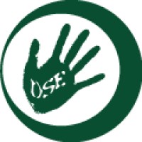 Danske Skoleelever Logo