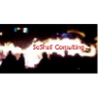 SoShall Consulting Logo