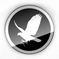 Falcontail Marketing & Design | Houston Texas USA Logo
