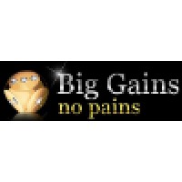 Big Gains No Pains Ltd Logo