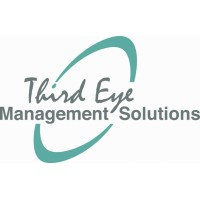 Third Eye Management Solutions Logo