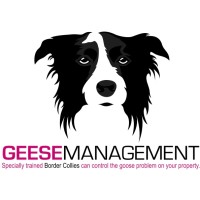 Geese Management Logo