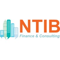 NTIB Finance & Consulting Logo