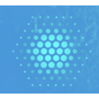 Maestrano Logo