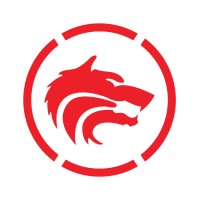 Wolfpack Information Risk Logo
