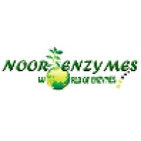 Noor Enzymes Logo