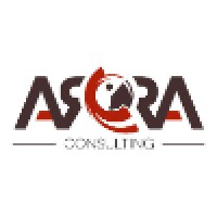 ARRA Consulting Logo