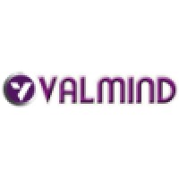 VALMIND IT NEEDS PRIVATE LIMITED Logo