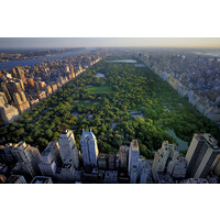 Artful Transitions NYC, LLC Logo