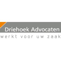 Driehoek Advocaten B.V. Logo