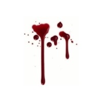 Forensic Insight Consulting, LLC Logo