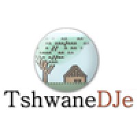 TshwaneDJe Software and Consulting Logo