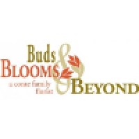 Buds, Blooms & Beyond Logo