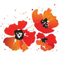 Narcissus Florals Logo