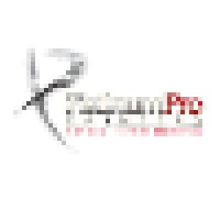 Platinum Pro Painters Logo