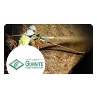 Gunnite International Logo