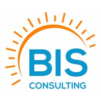 BIS Consulting, LLC; Decision-Support Consultants Logo