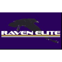 Raven Elite Consulting, LLC Logo