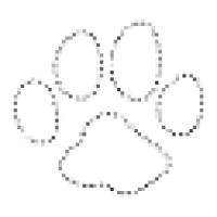 Nooga Paws Logo