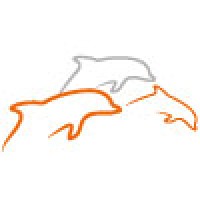 Orange Dolphins Logo