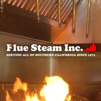 Flue Steam Logo