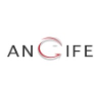 Angife s.r.l. Logo