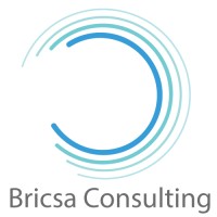 Bricsa Consulting Logo