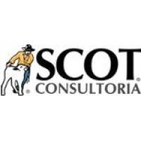 Scot Consultoria Logo