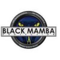 Black Mamba Protection Logo