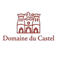 Domaine du Castel Logo
