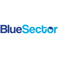 Blue Sector Group Logo