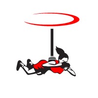 Aerial Innovations, Inc. Logo
