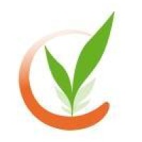 RICERCA MODERNA S.R.L. Logo