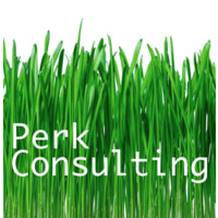 Perk Marketing & Media Consulting Logo