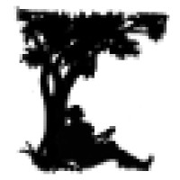 Bayberry Music, LLC Logo