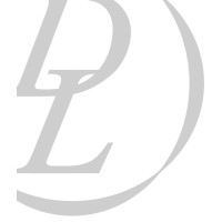 Dual Logistics Logo