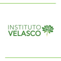 Instituto Velasco Logo