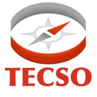 TECSO - TEcnologia e Consulenza per Sistemi Organizzativi Logo