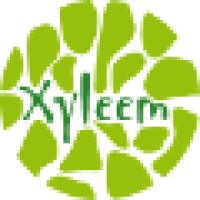 Xyleem b.v. | Adviseren - Investeren - Detacheren Logo
