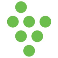 Vineyard Cincinnati Church Logo